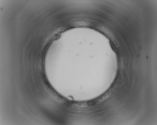 X0000062670353200601181906