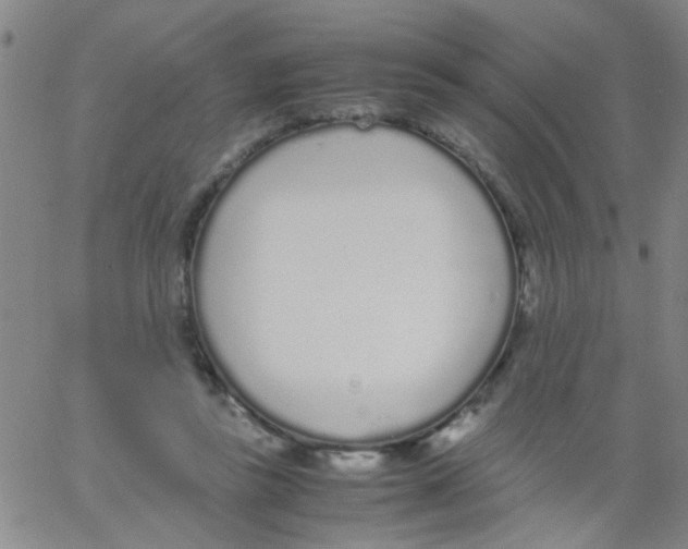 X0000062670355200601181906