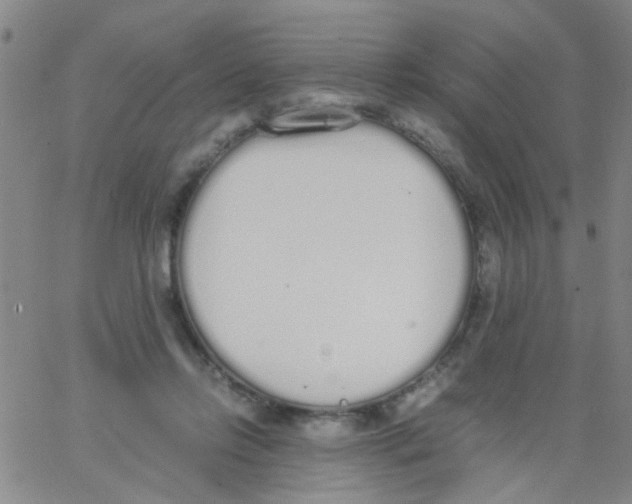 X0000062670358200601181906