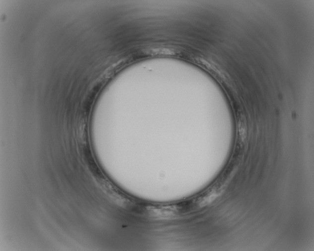 X0000062670359200601181906