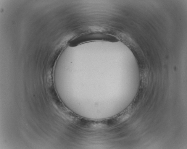 X0000062670360200601181906