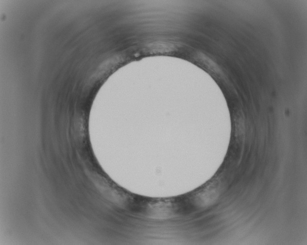 X0000062670362200601181906