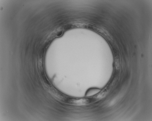 X0000062670365200601181906