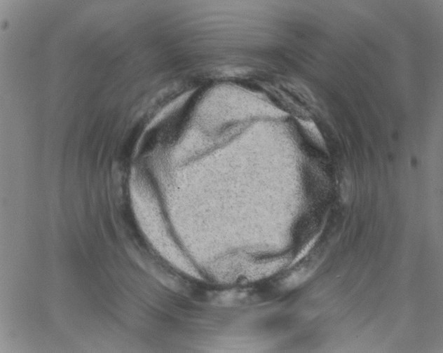 X0000062670366200601181906