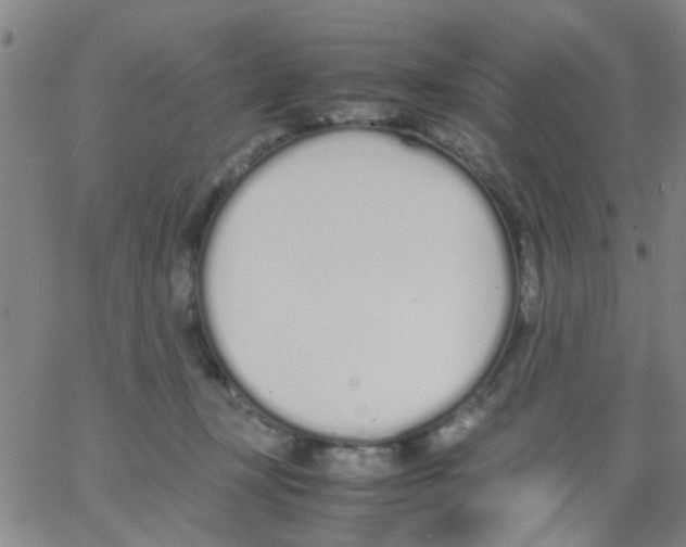 X0000062670367200601181906