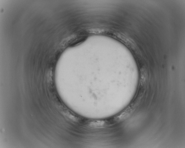 X0000062670369200601181906