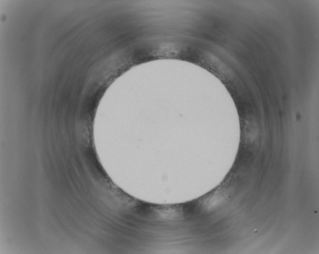 X0000062670370200601181906