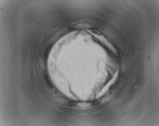 X0000062670371200601181906