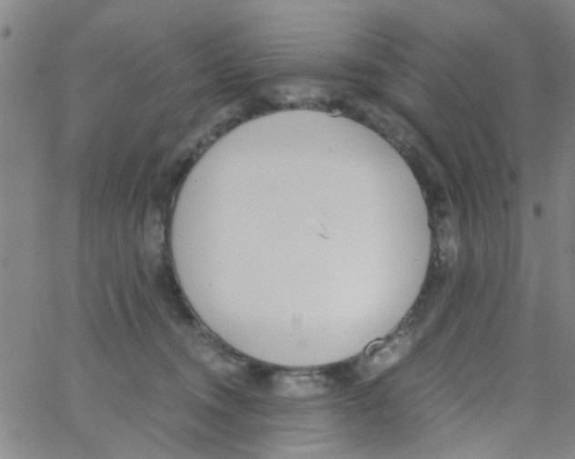 X0000062670372200601181906