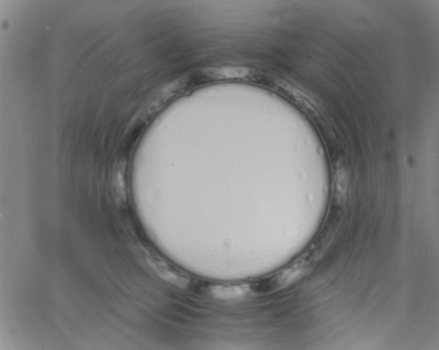 X0000062670373200601181906