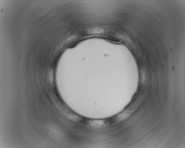 X0000062670374200601181906