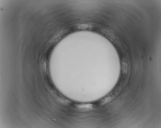 X0000062670375200601181906