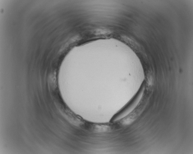 X0000062670376200601181906