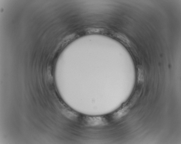 X0000062670377200601181906