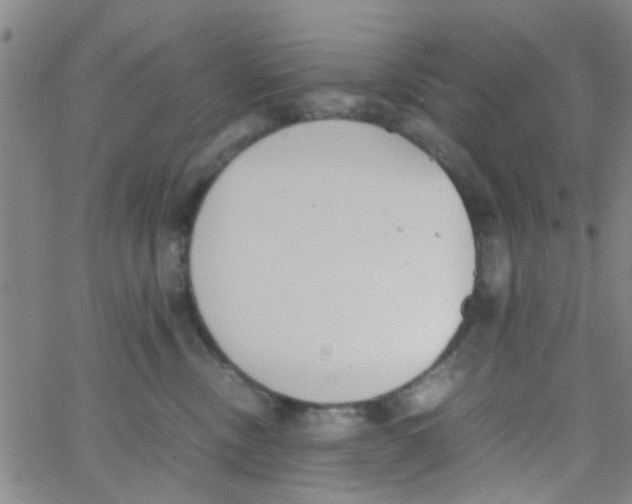 X0000062670378200601181906