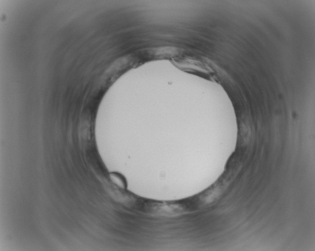 X0000062670379200601181906