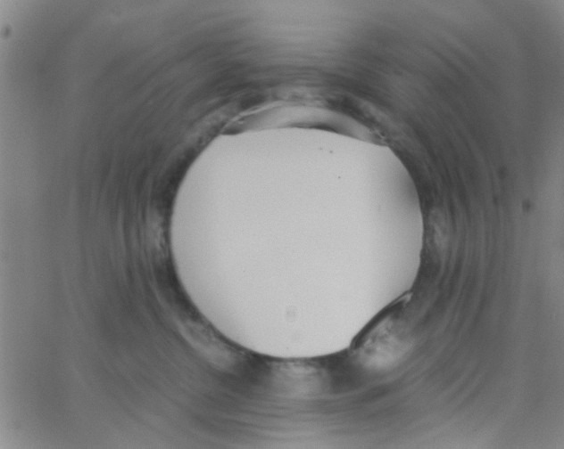 X0000062670380200601181906