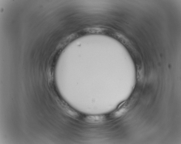 X0000062670381200601181906