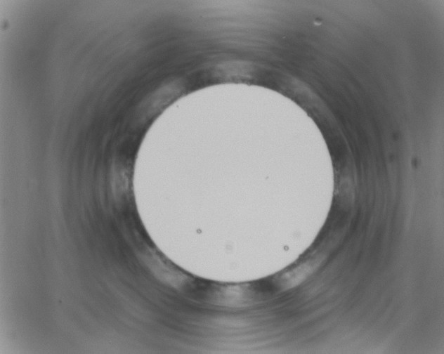 X0000062670382200601181906