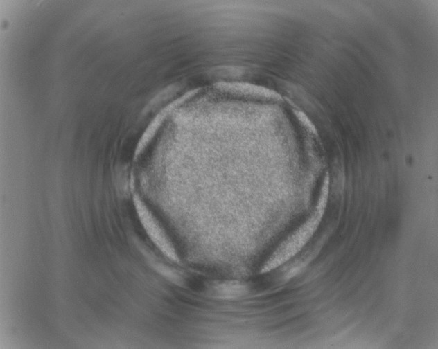 X0000062670383200601181906