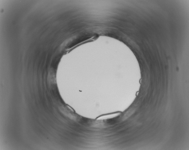 X0000062670384200601181906