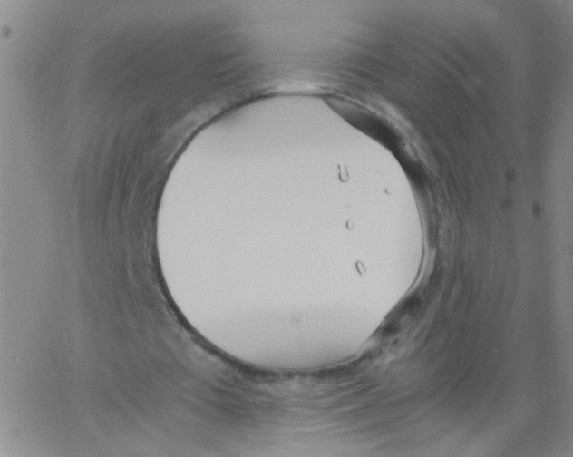 X0000062670385200601181906