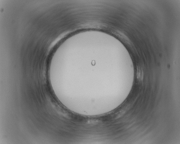 X0000062670388200601181906