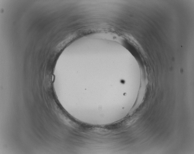 X0000062670393200601181906