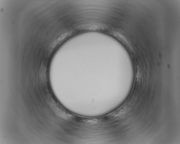 X0000062670394200601181906