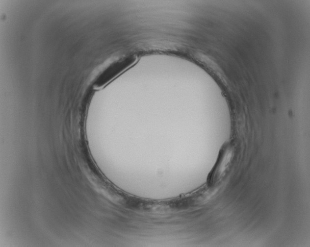 X0000062670395200601181906