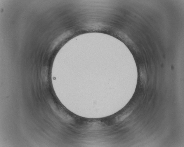 X0000062670396200601181906