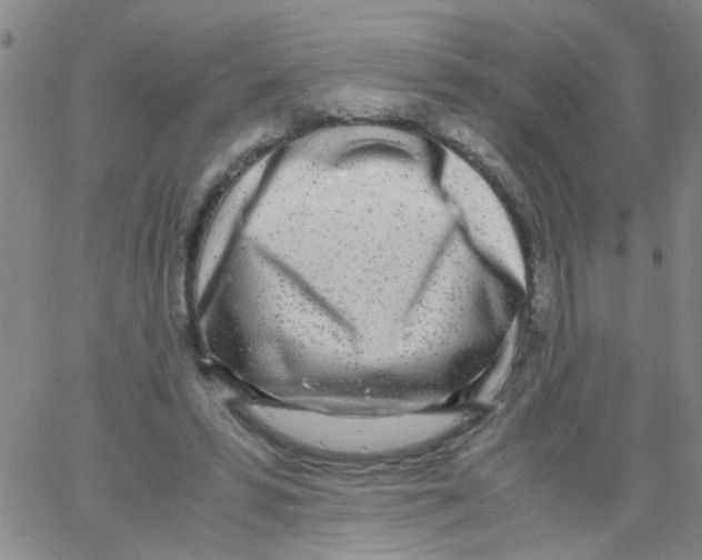 X0000062670399200601181905