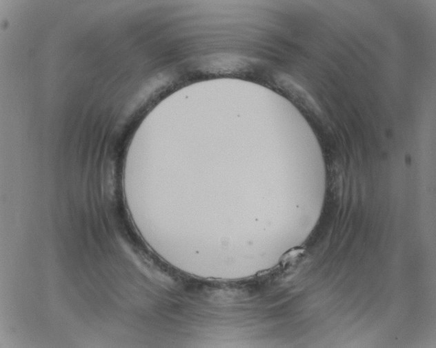 X0000062670400200601181905