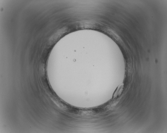 X0000062670401200601181905