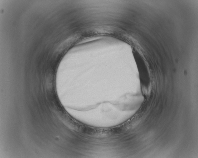 X0000062670402200601181905