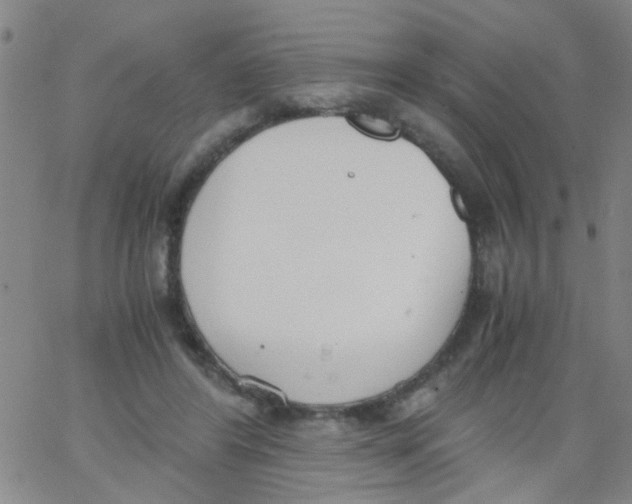 X0000062670404200601181905