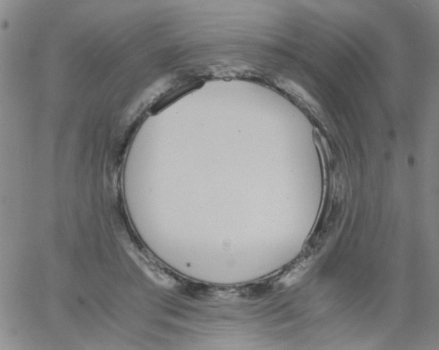 X0000062670405200601181905