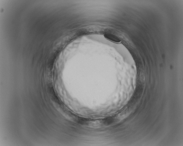 X0000062670411200601181905