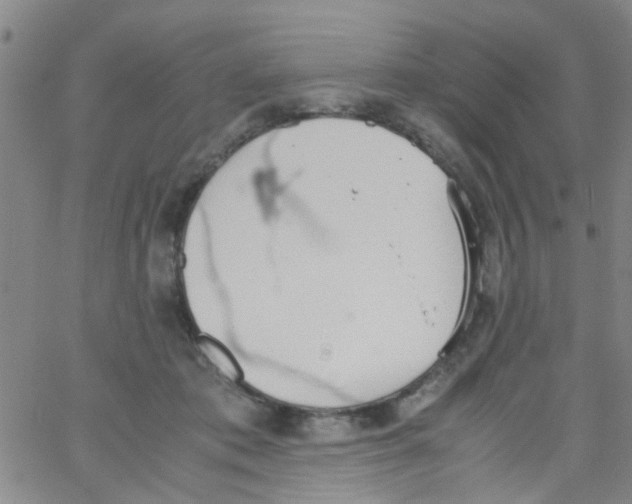 X0000062670413200601181905