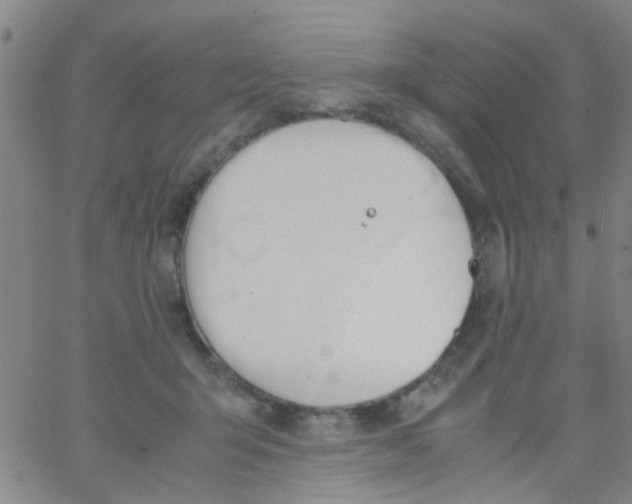 X0000062670415200601181905