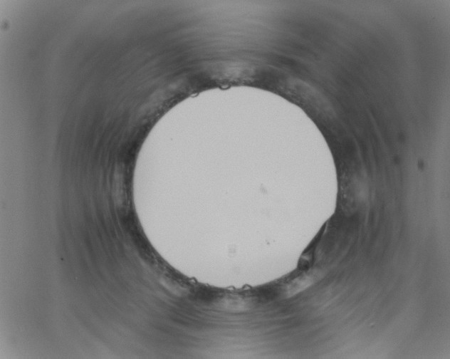 X0000062670416200601181905