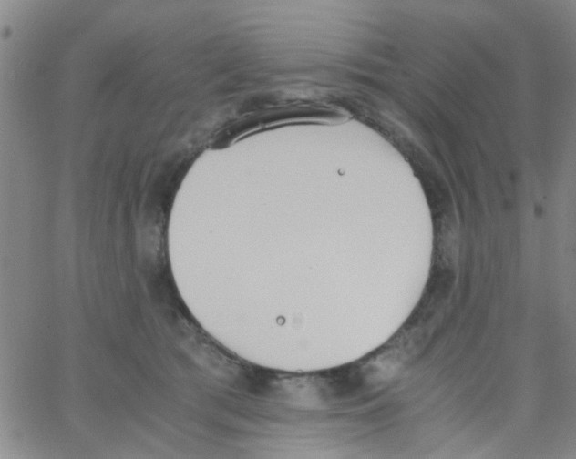 X0000062670417200601181905