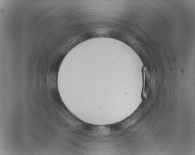 X0000062670421200601181905