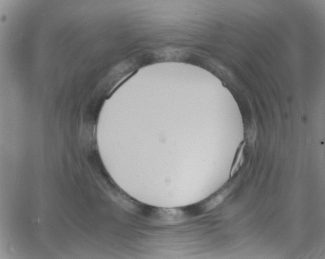 X0000062670429200601181905