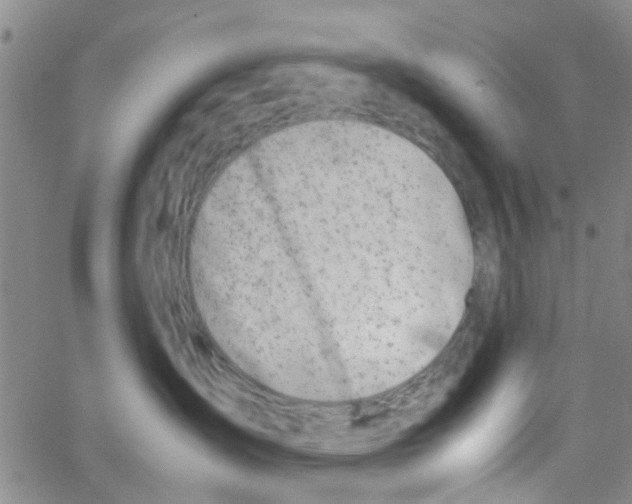 X0000062670431200601181905