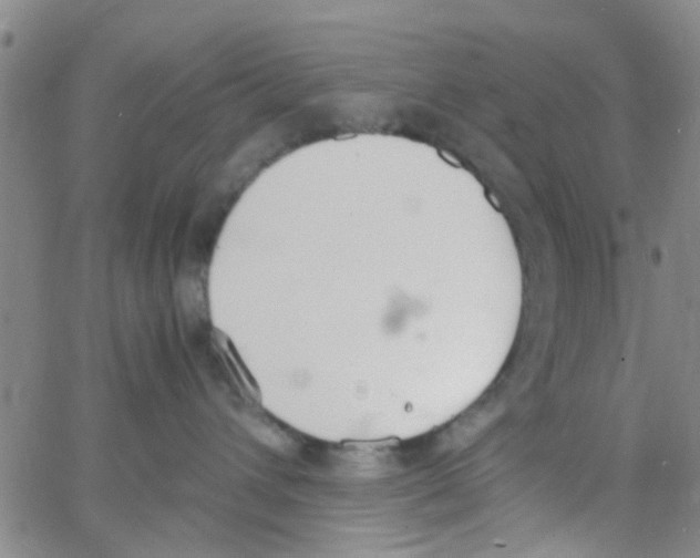 X0000062670432200601181905