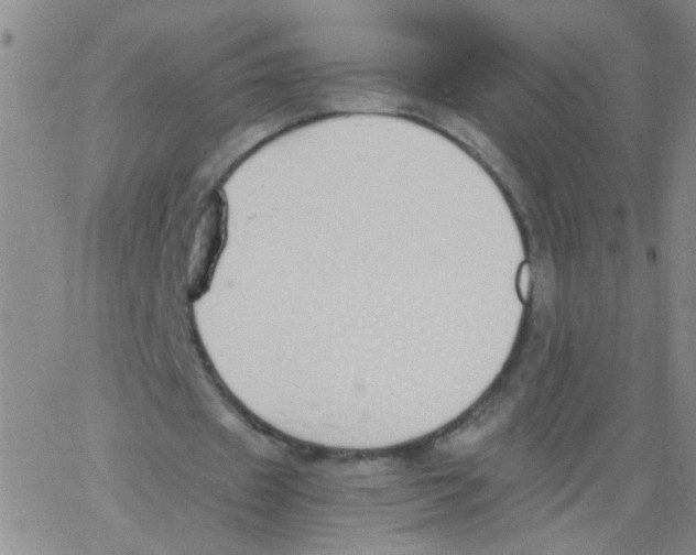 X0000062670433200601181904