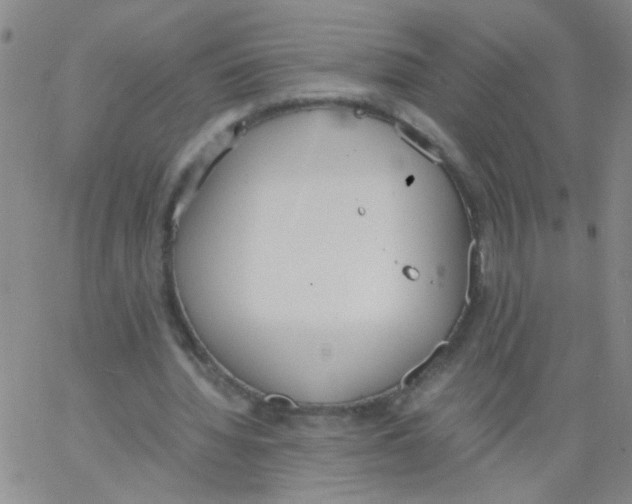 X0000062670436200601181904