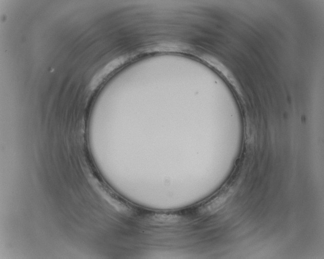 X0000062670437200601181904