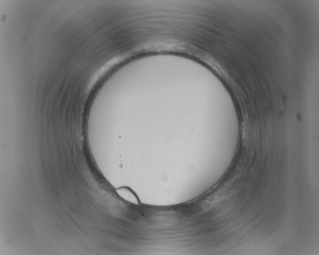 X0000062670438200601181904